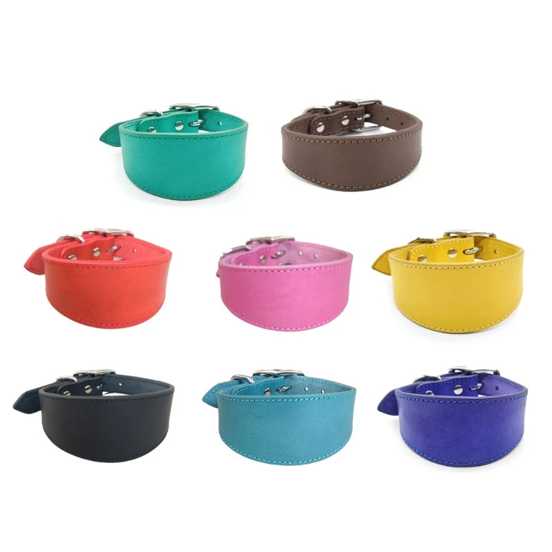 Premium Leather Dog Collar – Stylish, Comfortable & Designed for Sighthounds