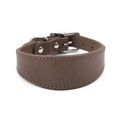 Premium Leather Dog Collar – Stylish, Comfortable & Designed for Sighthounds