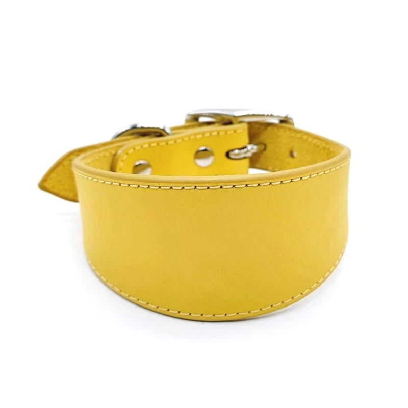 Premium Leather Dog Collar – Stylish, Comfortable & Designed for Sighthounds