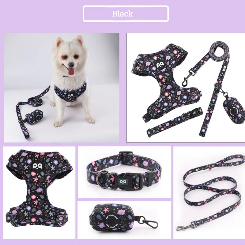 Adjustable Mesh Pet Harness & Leash Set – Vibrant Colors