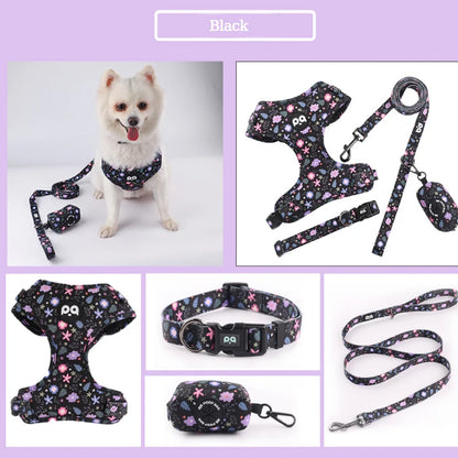 Adjustable Mesh Pet Harness & Leash Set – Vibrant Colors