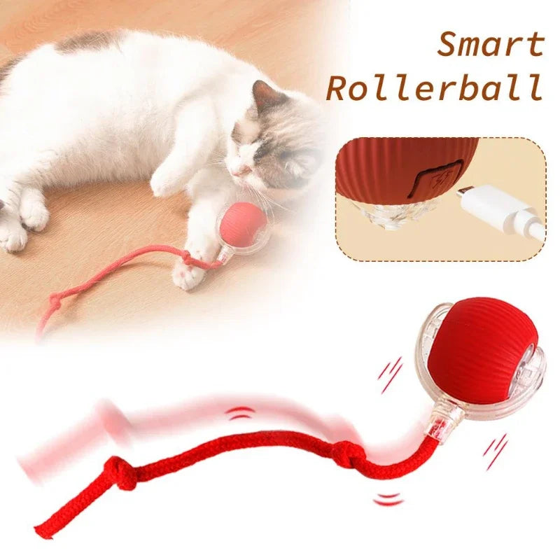 Whisker Chase Tail Ball-Rechargeable Toy for Endless Feline Adventures!
