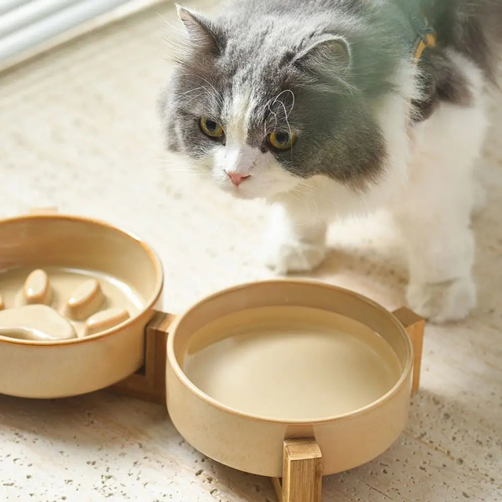 Anti-Choke Slow Feeding Japanese Ceramic Pet Bowl – Stylish & Functional for Healthy Mealtime