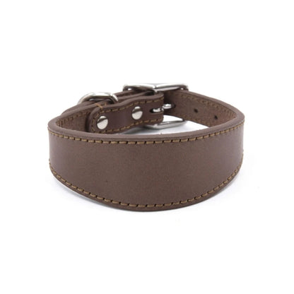 Premium Leather Dog Collar – Stylish, Comfortable & Designed for Sighthounds