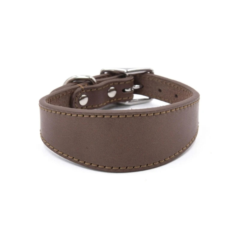 Premium Leather Dog Collar – Stylish, Comfortable & Designed for Sighthounds