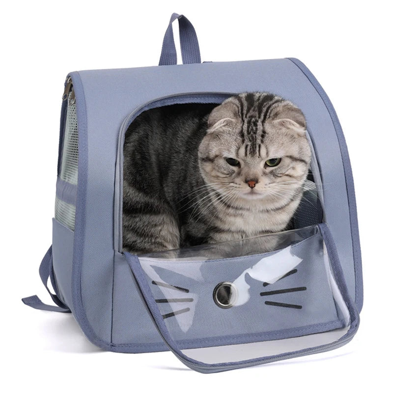 Springtime Wanderlust Pet Backpack: Stylish & Breezy Travel Backpack for Cats and Small Dogs
