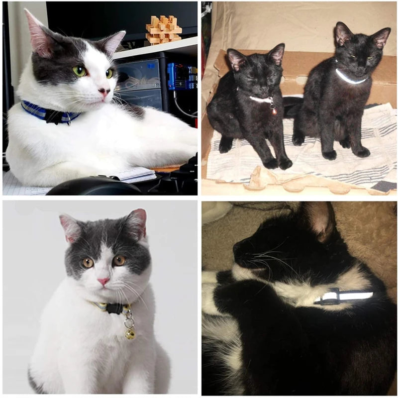 Color Reflective Cat Collars – Safe, Stylish & Perfect for Cats and Small Dogs