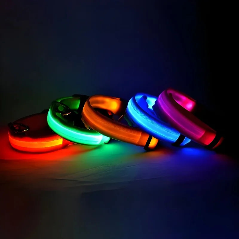 Glow-in-the-Dark LED Dog Collar & Leash – Night Safety for Your Luminous Pet