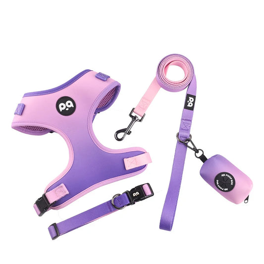 Adjustable Mesh Pet Harness & Leash Set – Vibrant Colors