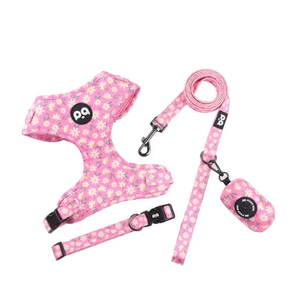 Adjustable Mesh Pet Harness & Leash Set – Vibrant Colors