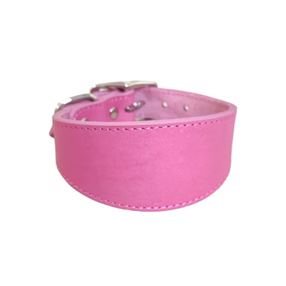 Premium Leather Dog Collar – Stylish, Comfortable & Designed for Sighthounds