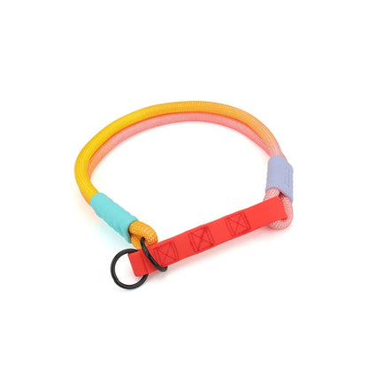 Bold Dog Collar – Stylish, Lightweight