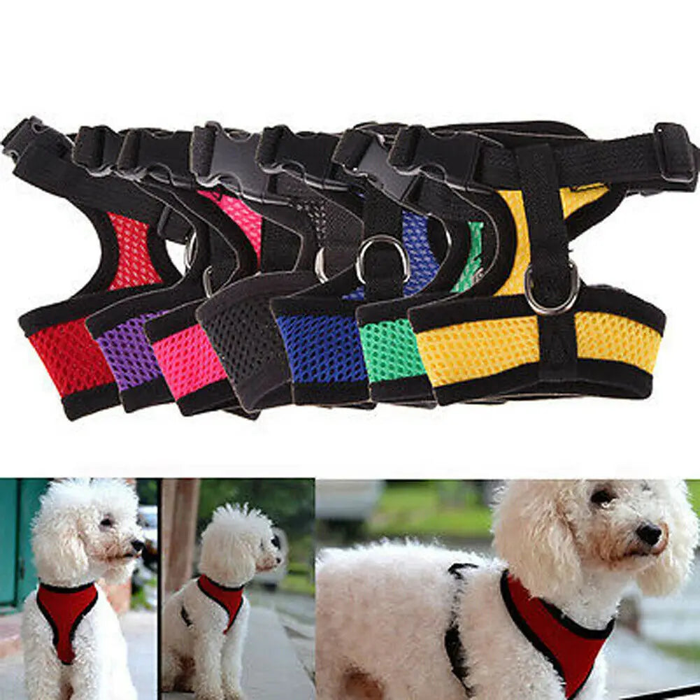 Breathable Mesh Dog Harness – Comfort, Style & Safety for Your Pup