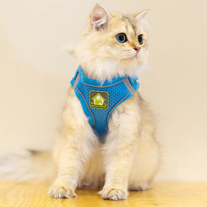 Reflective Cat Harness & Leash Set- Breathable Mesh, Vibrant Colours