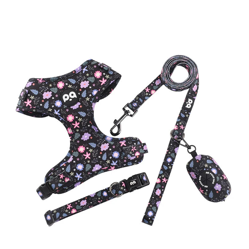 Adjustable Mesh Pet Harness & Leash Set – Vibrant Colors