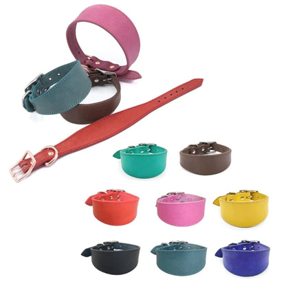 Premium Leather Dog Collar – Stylish, Comfortable & Designed for Sighthounds