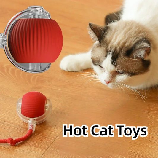 Whisker Chase Tail Ball-Rechargeable Toy for Endless Feline Adventures!