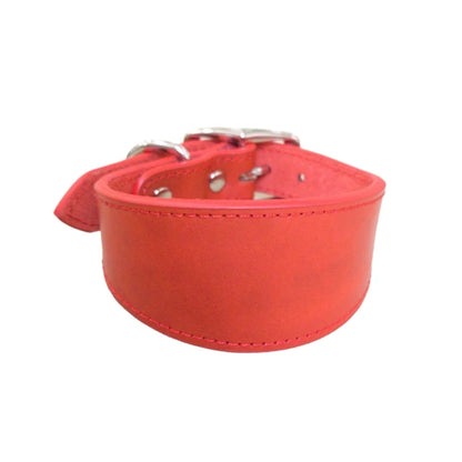 Premium Leather Dog Collar – Stylish, Comfortable & Designed for Sighthounds