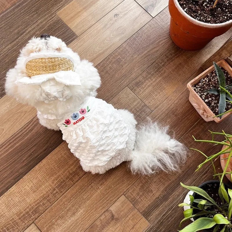 Runway Bloom Pet Dress: Chic Cooling Summer Skirt for Trendsetting Pups