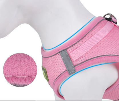 Reflective Cat Harness & Leash Set- Breathable Mesh, Vibrant Colours
