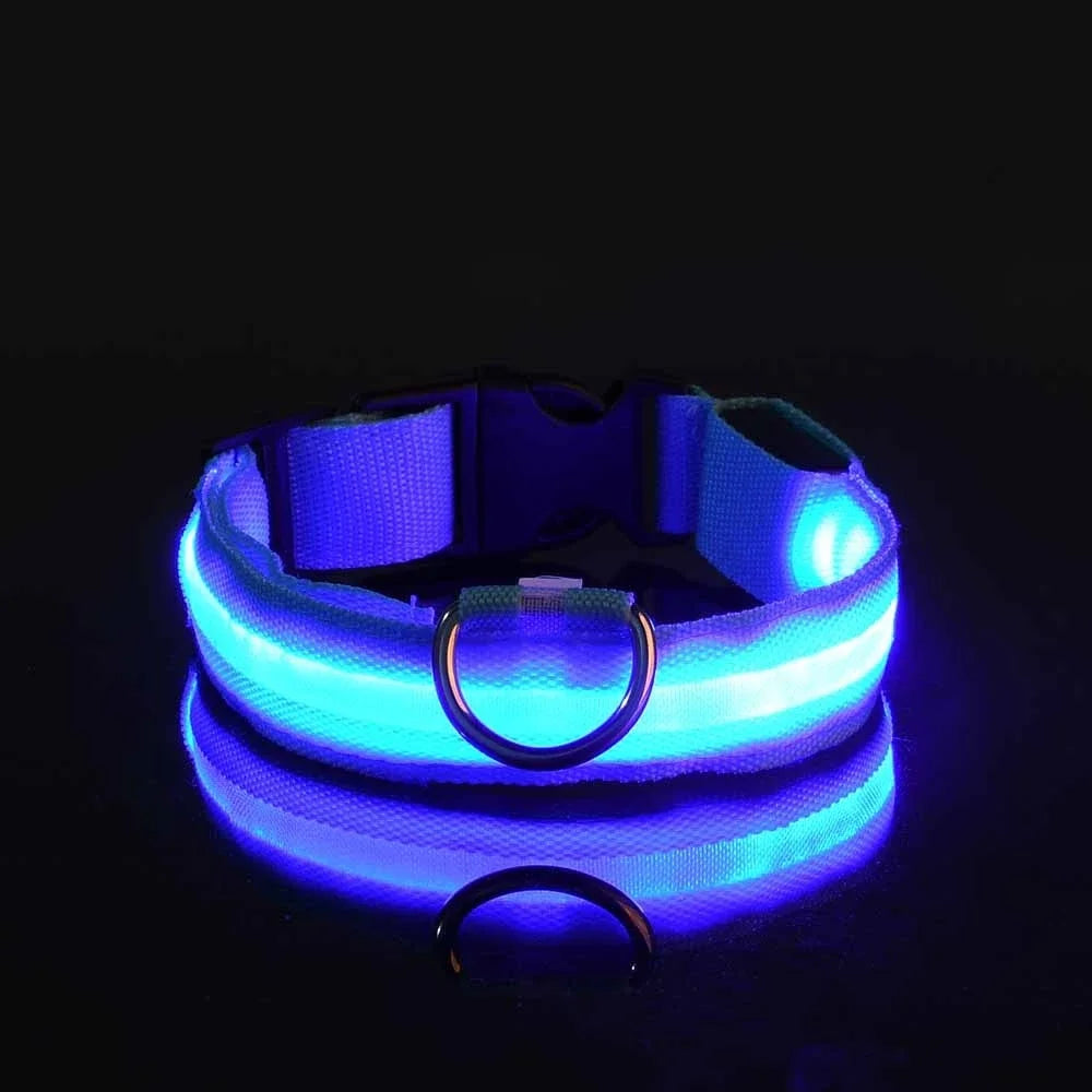 Glow-in-the-Dark LED Dog Collar & Leash – Night Safety for Your Luminous Pet