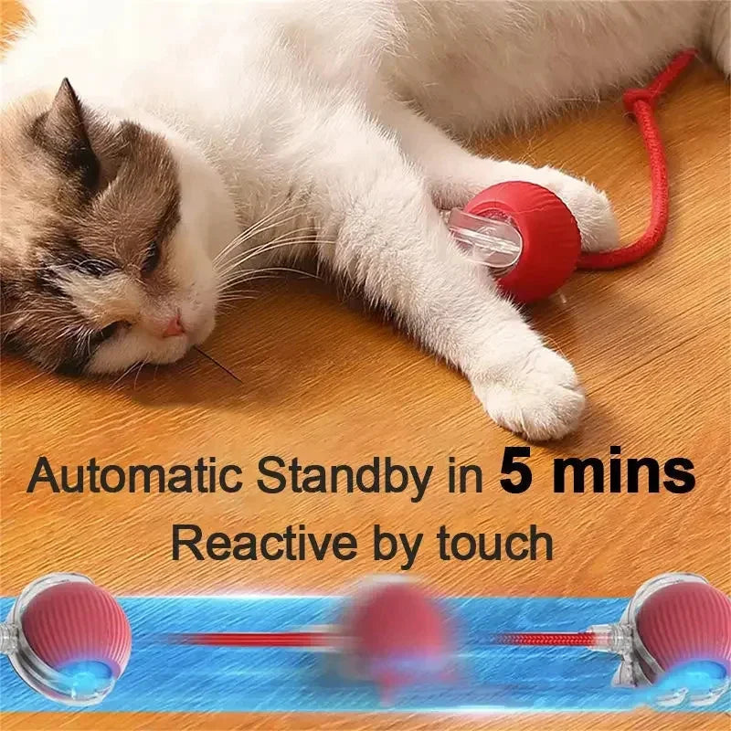 Whisker Chase Tail Ball-Rechargeable Toy for Endless Feline Adventures!