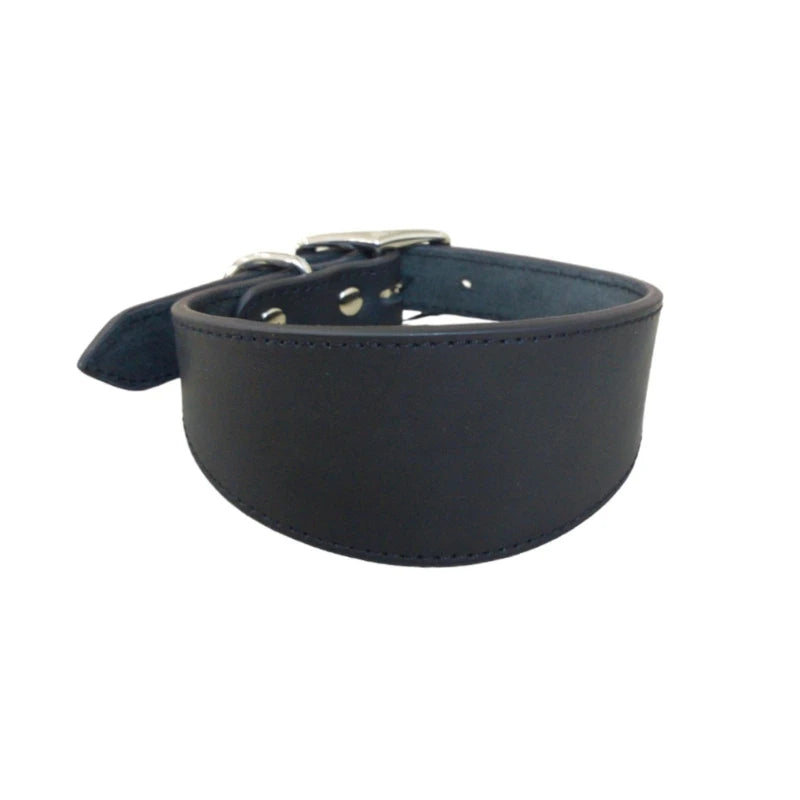 Premium Leather Dog Collar – Stylish, Comfortable & Designed for Sighthounds