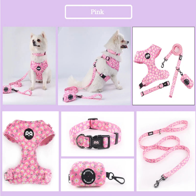 Adjustable Mesh Pet Harness & Leash Set – Vibrant Colors