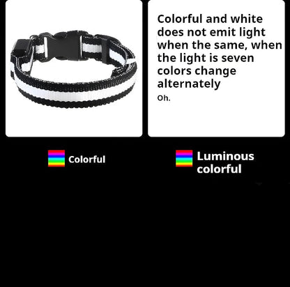 Glow-in-the-Dark LED Dog Collar & Leash – Night Safety for Your Luminous Pet