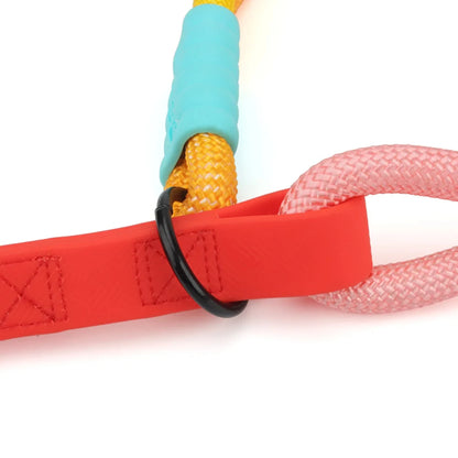 Bold Dog Collar – Stylish, Lightweight