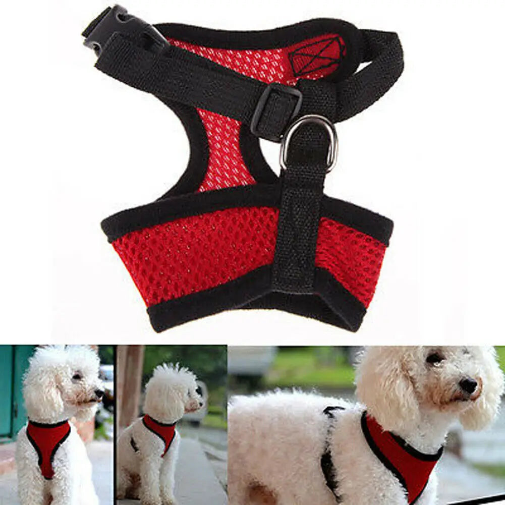 Breathable Mesh Dog Harness – Comfort, Style & Safety for Your Pup