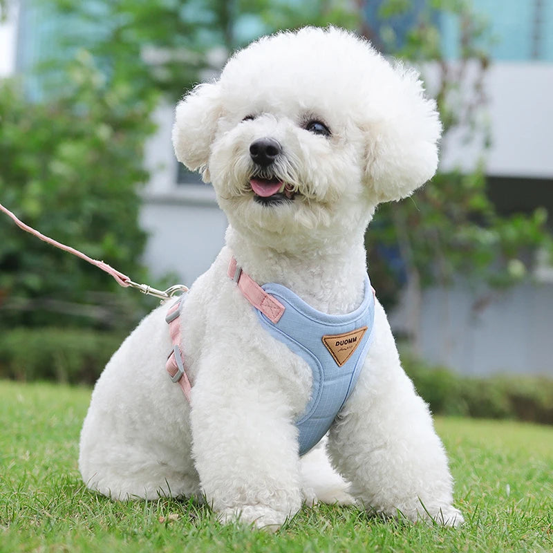 Breathable Cat Harness & Leash Set – Adjustable Vest for Small to Medium Cats and Dogs