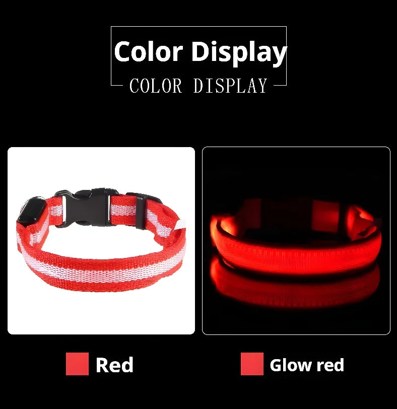 Glow-in-the-Dark LED Dog Collar & Leash – Night Safety for Your Luminous Pet