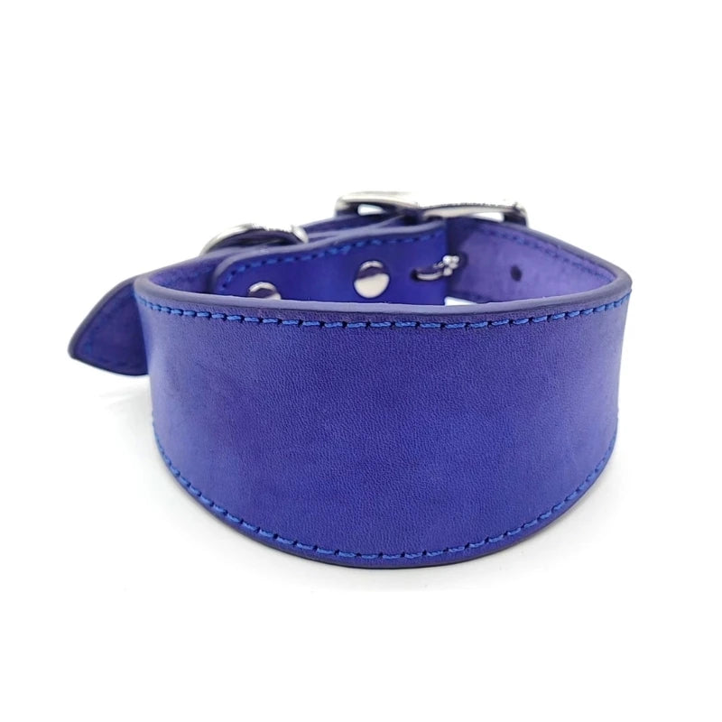 Premium Leather Dog Collar – Stylish, Comfortable & Designed for Sighthounds