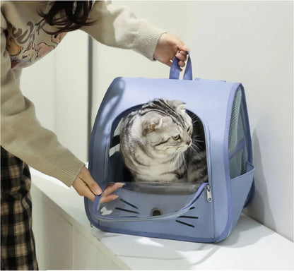 Springtime Wanderlust Pet Backpack: Stylish & Breezy Travel Backpack for Cats and Small Dogs