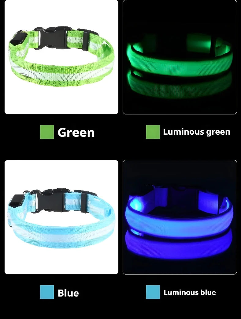 Glow-in-the-Dark LED Dog Collar & Leash – Night Safety for Your Luminous Pet