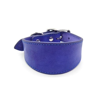 Premium Leather Dog Collar – Stylish, Comfortable & Designed for Sighthounds