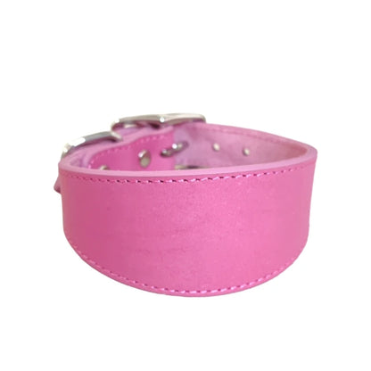 Premium Leather Dog Collar – Stylish, Comfortable & Designed for Sighthounds