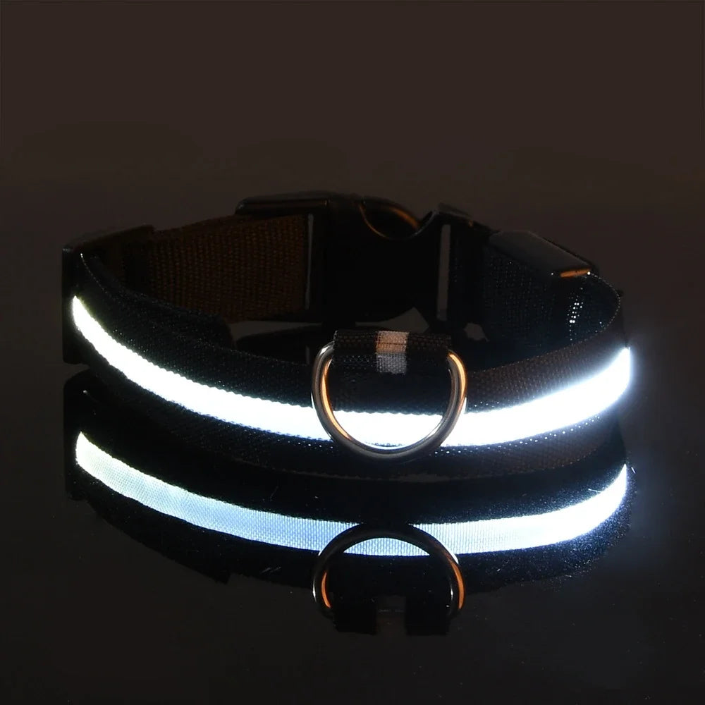 Glow-in-the-Dark LED Dog Collar & Leash – Night Safety for Your Luminous Pet