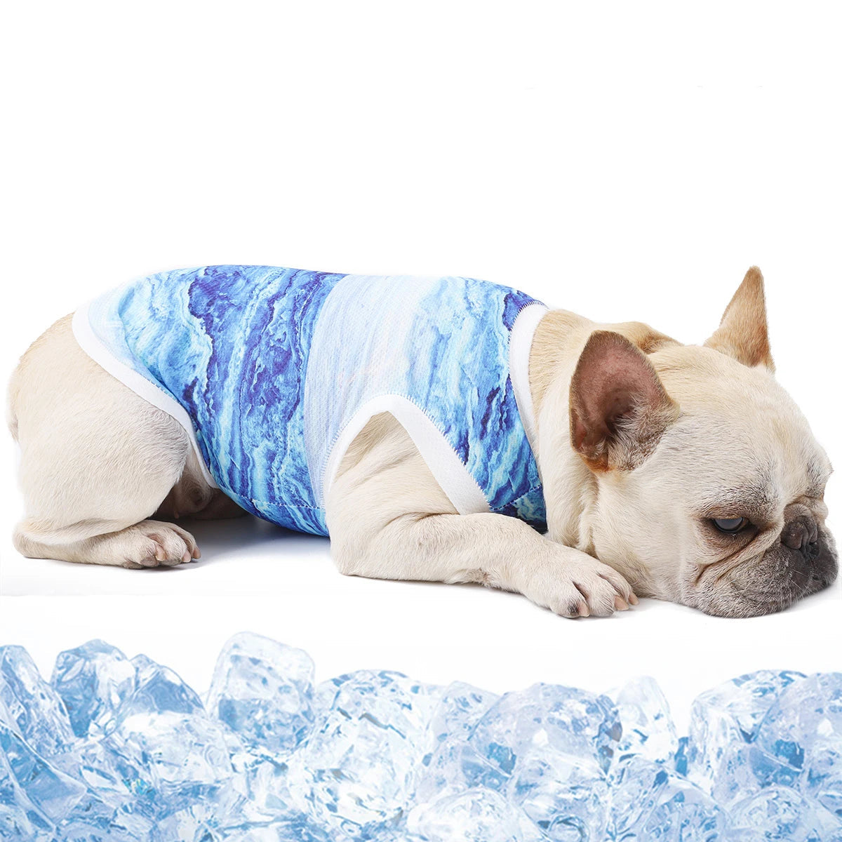 Chill Paws Vest: Instant Cooling Gear for Dogs to Beat the Summer Heat!-Different designs