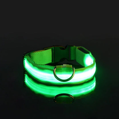 Glow-in-the-Dark LED Dog Collar & Leash – Night Safety for Your Luminous Pet