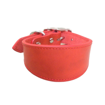 Premium Leather Dog Collar – Stylish, Comfortable & Designed for Sighthounds