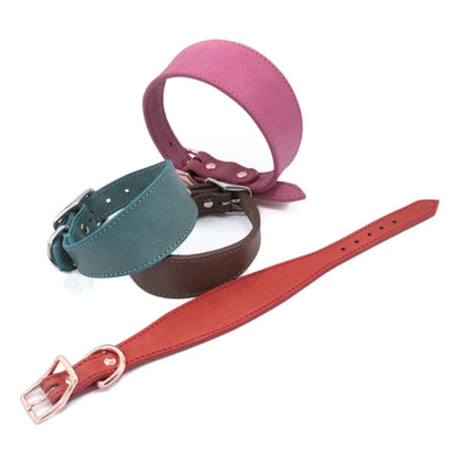 Premium Leather Dog Collar – Stylish, Comfortable & Designed for Sighthounds