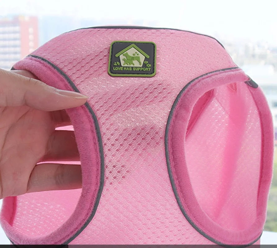 Reflective Cat Harness & Leash Set- Breathable Mesh, Vibrant Colours