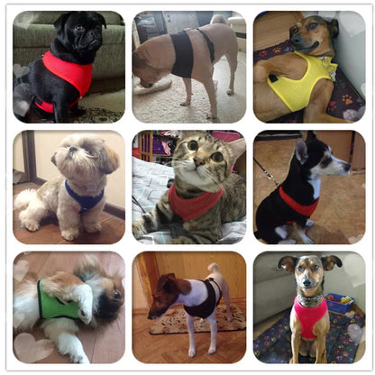 Breathable Mesh Dog Harness – Comfort, Style & Safety for Your Pup