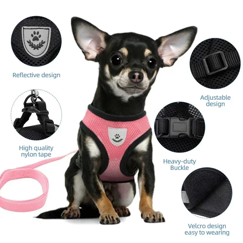 Adjustable Reflective Cat Harness & Leash Set – Soft Mesh for Cats and Small Dogs