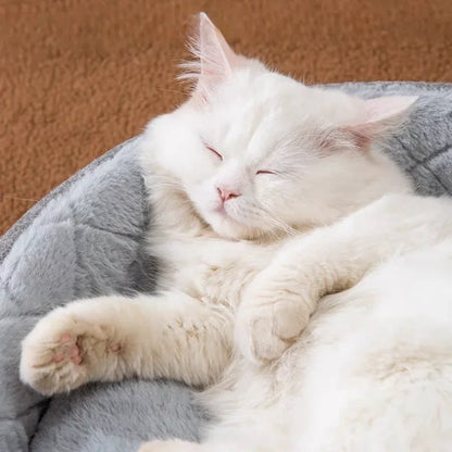 Lovely/Fun/ Dual Cat Bed/ House- For Winter Naps!