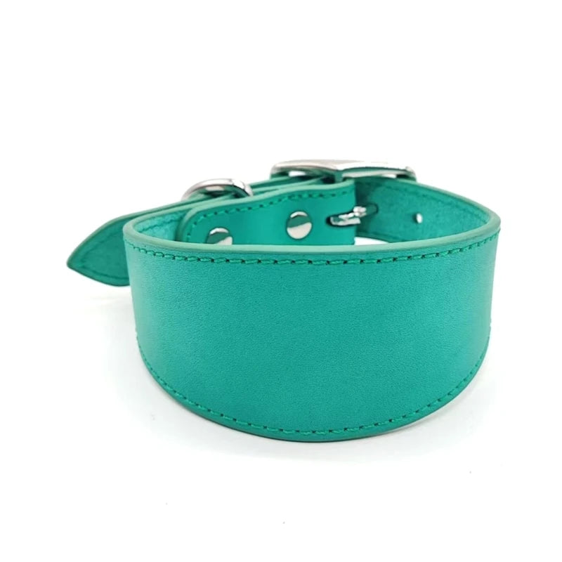Premium Leather Dog Collar – Stylish, Comfortable & Designed for Sighthounds