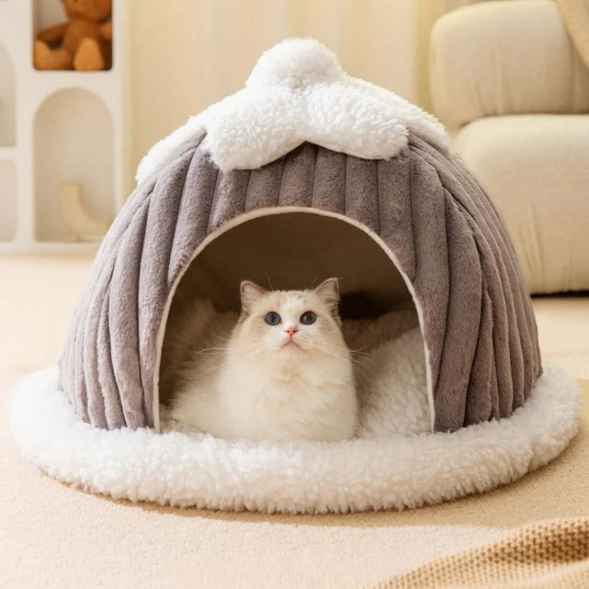 Enchanted Forest – The Cheerful Dog/ Cat Ultimate Dreamy House!
