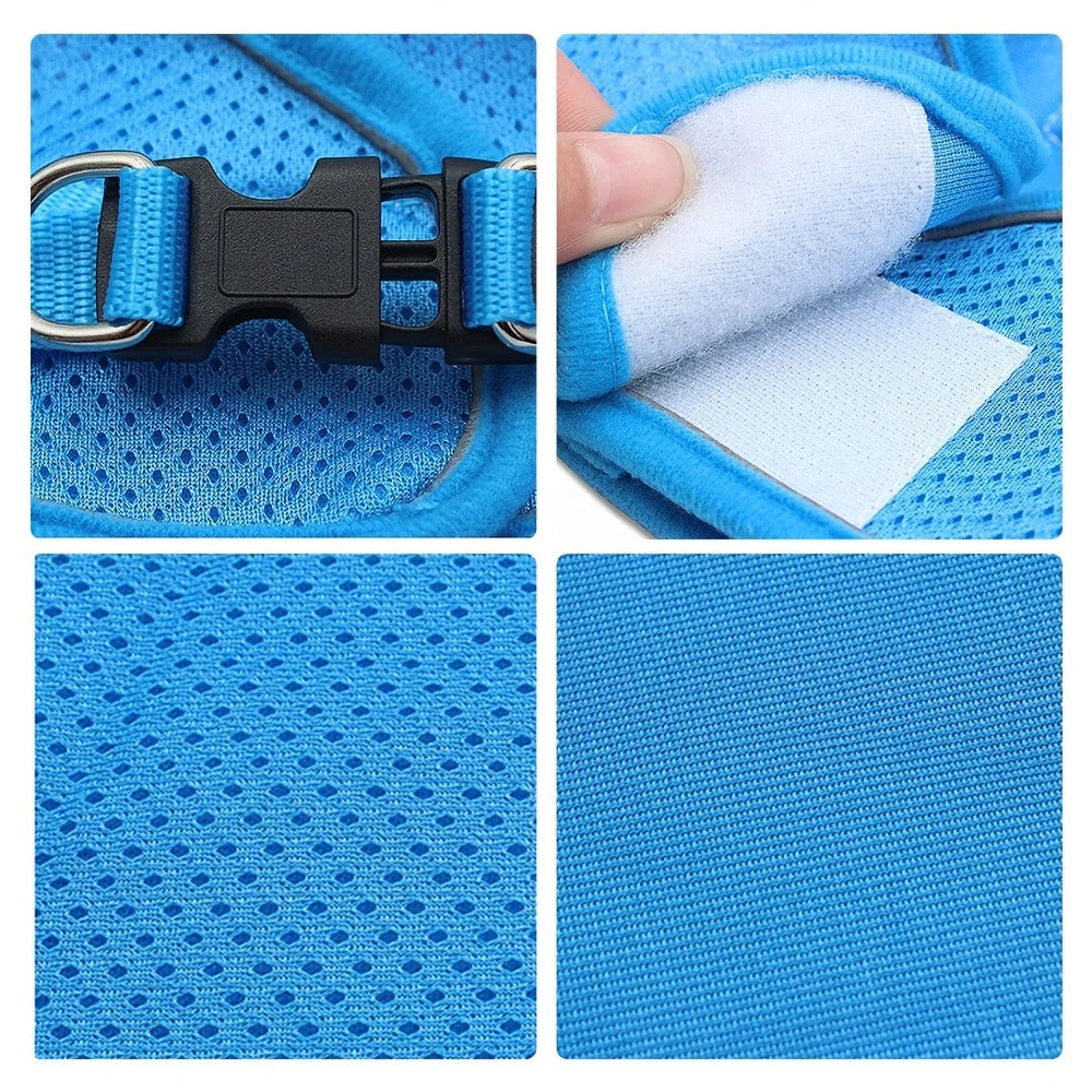 Reflective Cat Harness & Leash Set- Breathable Mesh, Vibrant Colours